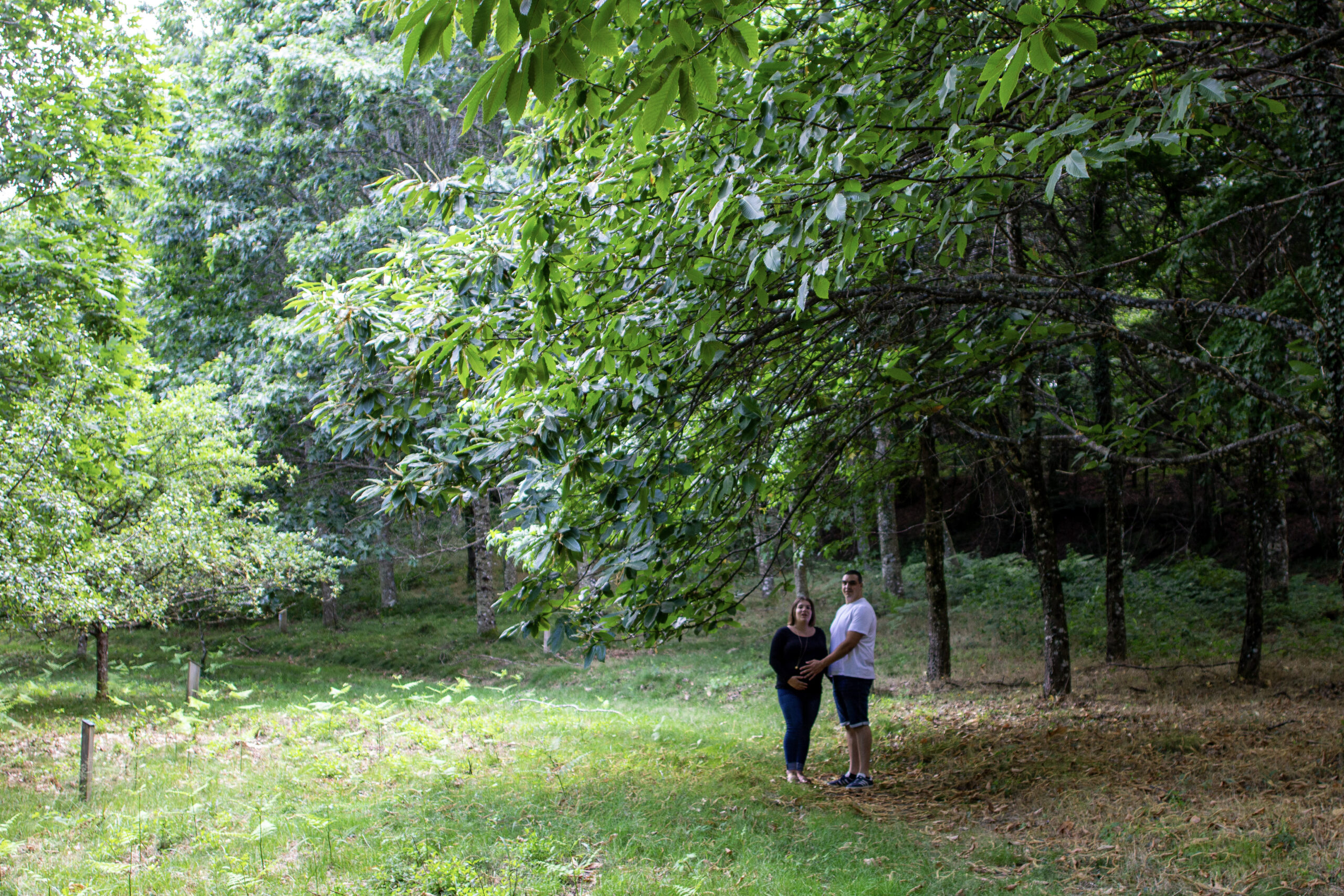 Couple enlacé au loin dans une clairière bordée d'arbres